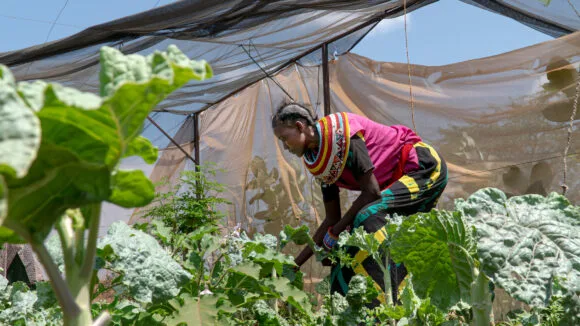 Kenyan woman in colourful clothes in the garden.