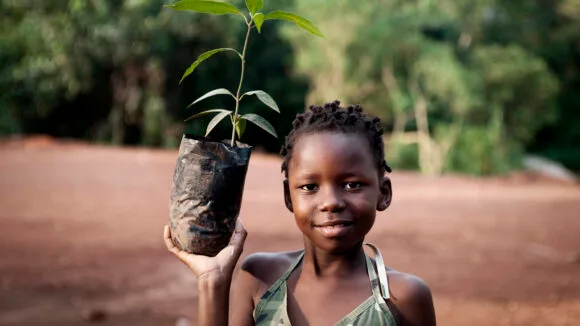 Afrikkalainen lapsi pitää kädessään kasvitaimea.